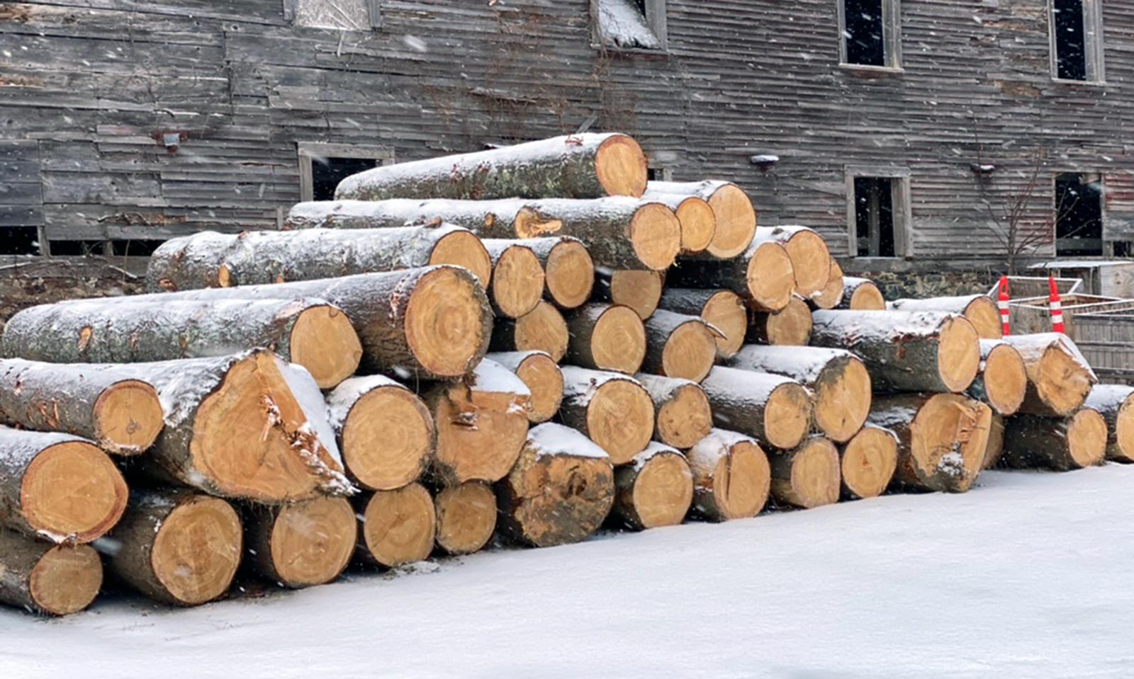 Logs stacked near barn